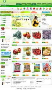 食品加工可視化 響應式網站建設的關鍵要素與實踐指南